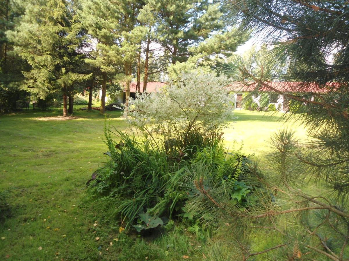 Agroturystyka Gaga Stolpmünde Exterior foto